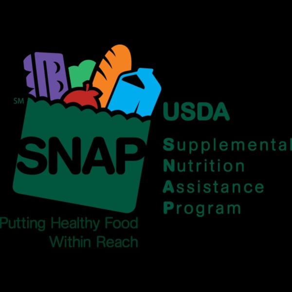 USDA SNAP logo with a green grocery bag full of colorful food items and text.